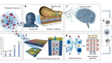 حساسات شم بالذكاء الاصطناعي تمكّن من الكشف المتقدم عن الغازات والروائح- OIMEDIA News - بوابة الذكاء الاصطناعي