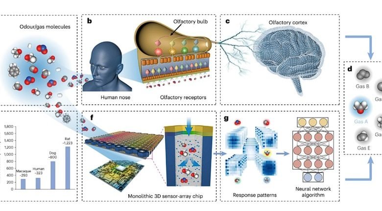 حساسات شم بالذكاء الاصطناعي تمكّن من الكشف المتقدم عن الغازات والروائح- OIMEDIA News - بوابة الذكاء الاصطناعي